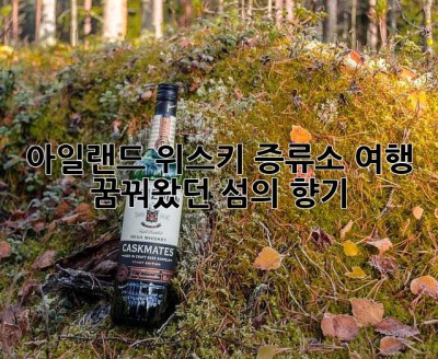 아일랜드 위스키 증류소 여행, 꿈꿔왔던 섬의 향기