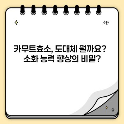 카무트효소 요약정보 우선 확인: 소화 개선과 건강 증진을 위한 완벽 가이드