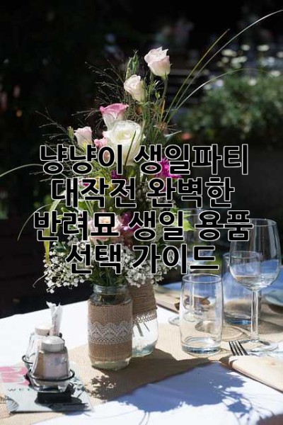 냥냥이 생일파티 대작전! 완벽한 반려묘 생일 용품 선택 가이드